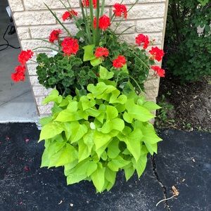 Meet your Posher, Senada